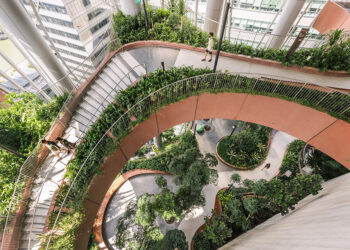 Biophilic Design Integrates Natural Elements into the Built Environment
